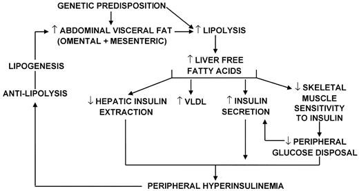 Factors regulating the abdominal fat distribution.[ Adapted with permission from B. L. Wajchenberg et al.: Diabetes Metab Rev 10:19–29, 1994 (256).]