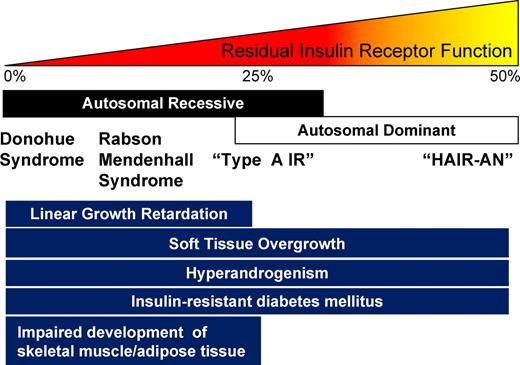 Clinical spectrum of insulin receptoropathies.