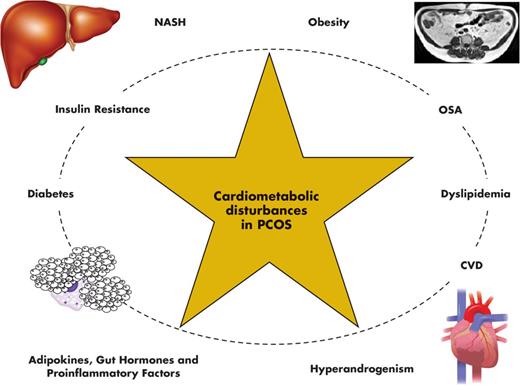 Cardiometabolic disturbances in PCOS. These include insulin resistance, hyperandrogenism, dyslipidemia, and alterations of the secretion and/or metabolic action of various adipokines, proinflammatory markers, and gut hormones, which may finally contribute to the observed increased prevalence of obesity, type 2 diabetes, NASH, OSA, and CVD in women with PCOS. However, for many of these factors, it remains to be determined whether they are causally involved in the pathogenesis of the syndrome or, alternatively, represent a consequence of changes in other factors.