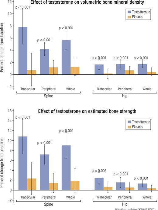 Change from baseline to 12 months in (top) vBMD and (bottom) estimated bone strength,
              as determined by QCT in trabecular, peripheral, or whole bone of the spine or hip in
              211 men treated with testosterone or placebo. Data presented as mean ± standard
              deviation. Reproduced, with permission, from Snyder et al. (42).