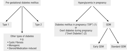 Flowchart summarizing the contemporary nomenclature for hyperglycemia in pregnancy.