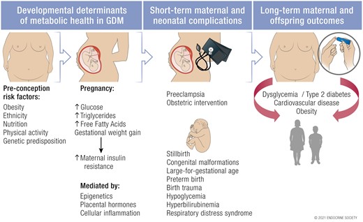 Graphical Abstract