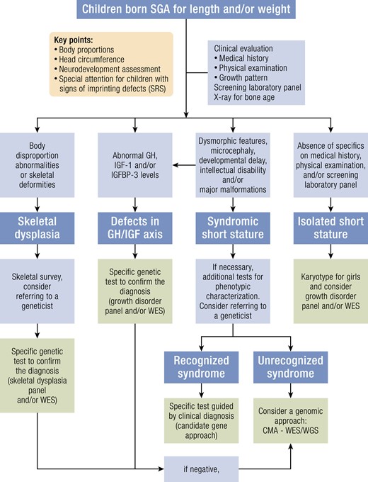 Genetic testing. Abbreviations: CMA, chromosomal microarray analysis; GH, growth hormone; IGF-I, Insulin-like growth factor-I; IGFBP-3, Insulin-like growth factor-binding protein-3; WES, whole exome sequencing; SRS, Silver-Russell syndrome; WGS, whole genome sequencing.