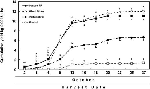 Cumulative yields of marketable squash fruit from plants grown on selected mulches, preplant imidacloprid (bare soil), and a bare soil control in 2000. Yields sharing a common letter (within individual harvest dates) are not significantly different at P < 0.05, Fisher’s protected LSD. NS, nonsignificant.