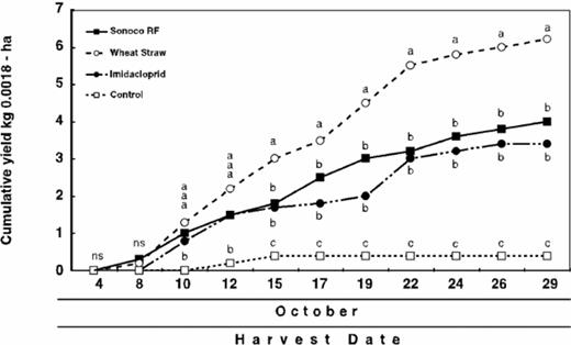 Cumulative yields of marketable squash fruit from plants grown on selected mulches, preplant imidacloprid (bare soil), and a bare soil control in 2001. Yields sharing a common letter (within individual harvest dates) are not significantly different at P < 0.05, Fisher’s protected LSD. NS, nonsignificant.