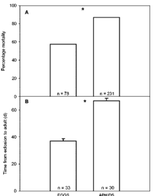 Effect of diet on P. opilio (A) percentage mortality suffered during development and (B) time from eclosion to adult emergence (d; mean ± SE). Eggs, H. zea eggs; aphids, A. glycines. *Significant differences between treatments (P < 0.05, (χ2 and LSD with Bonferroni correction, respectively).