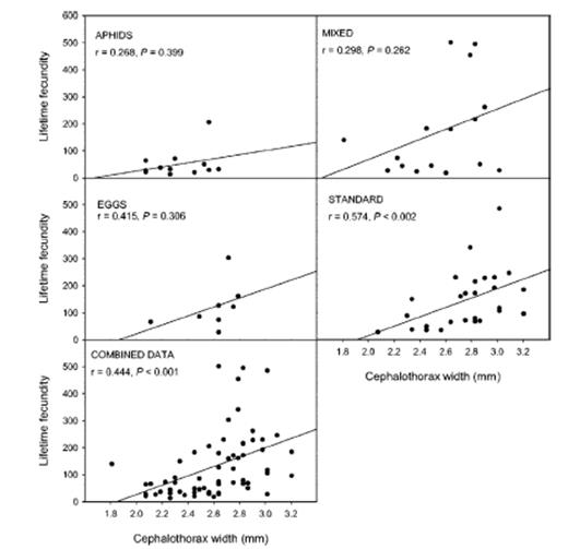 Regression of P. opilio lifetime fecundity on female body size for four diet treatments and for combined data. Diet treatments are the same as those in Fig. 3.
