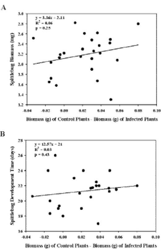 (A) The relationship between the effect of CMV infection on plant biomass production (g) and the biomass of adult spittlebugs (mg) reared on CMV-infected plants. (B) The relationship between the effect of CMV infection on plant biomass production (g) and the development time of spittlebugs (days) reared on CMV-infected plants.