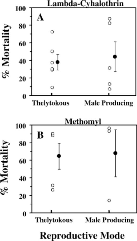 Percent mortality of T. tabaci larvae after a 24-h exposure to a diagnostic concentration of lambda-cyhalo-thrin at 100 ppm (A) or a 100 ppm concentration of metho-myl (B). Larvae originated from thelytokous and male-producing populations in New York onion fields during 2003 and 2004. Mean ± SEM) percent mortality is represented by the off set solid circles. Each open circle represents one population in which n = 300-500 larvae in the insecticide bioassay.