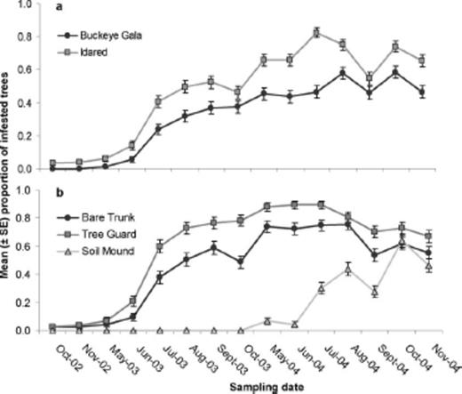 Temporal patterns of the mean proportion of trees infested by dogwood borer in the Virginia orchard in relation to a) variety and b) trunk treatment. Soil mound trunk treatments were removed in May 2004.
