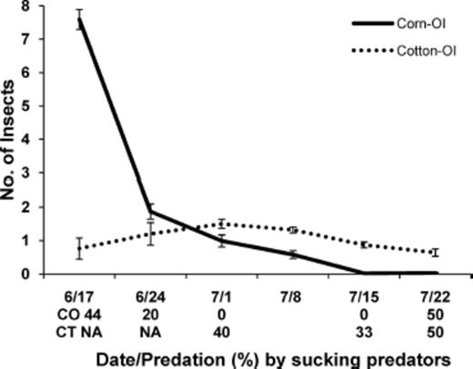Mean (±SE) number of O. insidiosus (OI) and percent egg predation by sucking predators in corn and cotton in corn-cotton farmscapes for sampling dates in 2004.