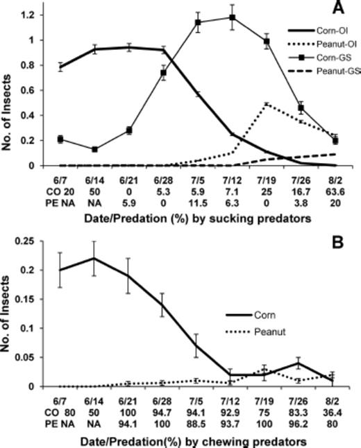 Mean (±SE) number of predators and percent egg predation by sucking or chewing predators in corn and peanut in corn-peanut farmscapes for sampling dates in 2005. (A) O. insidiosus (OI) and Geocoris spp. (GS). Density of O. insidiosus in corn was divided by 10. (B) Lady beetles (H. convergens, C. septempunctata, C. maculata, H. axyridis, S. loewii, and S. ardelio).