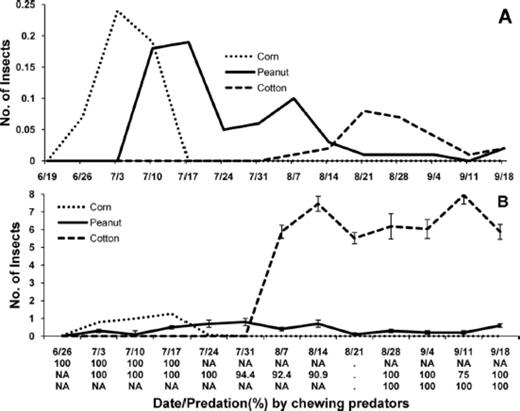 Mean (±SE) number of predators and percent egg predation by chewing predators in corn, peanut, and cotton in corn-peanut-cotton farmscapes for sampling dates in 2008. (A) Lady beetles (H. convergens, C. septempunctata, C. maculata, H. axyridis, S. loewii, and S. ardelio) and (B) S. invicta. Density of S. invicta in peanut was multiplied by 10. Percent egg predation by chewing predators below date for corn, peanut, and cotton on first, second, and third line, respectively.