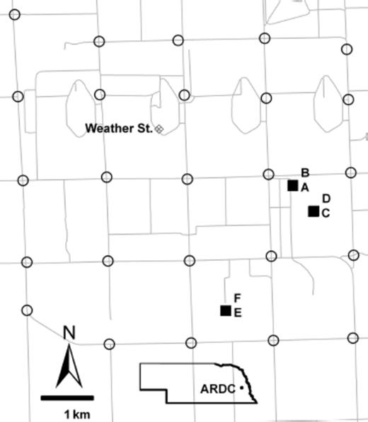 Map of the University of Nebraska, Agricultural Research and Development Center, Ithaca, NE (ARDC). Solid squares indicate the hay feeding sites sampled. A and B were sampled in 2005, C in 2006, D and E in 2007, and F in 2008. Open circles indicate locations for the 25 adult sticky traps. The cross-hatched diamond indicates the MEADAGROFARM weather station.