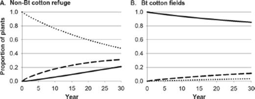Cumulative effects of pollen-mediated gene flow in (A) a non-Bt cotton refuge and (B) the surrounding Bt cotton fields, for a landscape with 20% non-Bt cotton refuge and 80% Bt cotton fields. Lines show frequencies of homozygous Bt (solid), hemizygous (dashed), and homozygous non-Bt (dotted) cotton plants.