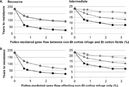 Years to resistance evolution in simulations where pollen-mediated gene flow affected (A) both patch types, or (B) the non-Bt cotton refuge but not the Bt cotton fields. Results are shown for sedentary (light gray, circles), indiscriminate (black, squares), or discriminating (dark gray, triangles) larvae. The dominance of resistance was recessive or intermediate. Non-Bt cotton refuges were 20% of the landscape and no alternative host plant refuges were present. Note that the scale of years differs among panels.
