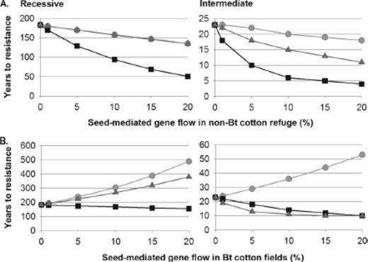 Years to resistance evolution in simulations with seed-mediated gene flow in (A) the non-Bt cotton refuge, or (B) the Bt cotton fields. Results are shown for sedentary (light gray, circles), indiscriminate (black, squares) and discriminating (dark gray, triangles) larvae. The dominance of resistance was recessive or intermediate. Non-Bt cotton refuges were 20% of the landscape and no alternative host plant refuges were present. Note that the scale of years differs among panels.