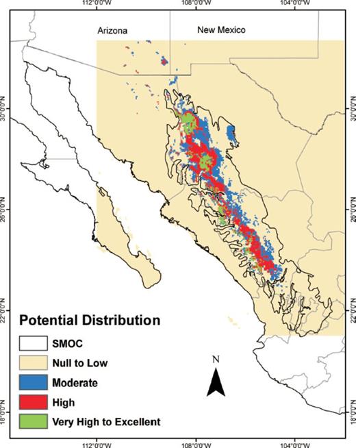 Potential distribution of D. rhizophagus in the Sierra Madre Occidental, México modeled with MaxEnt.