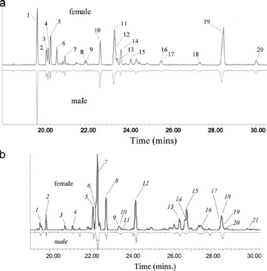 a, GC-MS chromatogram of SPME sample of the cuticular hydrocarbons from the elytra of 5-d-old female (upper) and male (inverted lower) Tetropium fuscum (composite of six individuals of each sex). Analysis conditions are described in the text. Numbers on peaks refer to compounds in Table 1 . b, GC-MS chromatogram of SPME sample of the cuticular hydrocarbons from the elytra of 5-d-old female (upper) and male (inverted lower) Tetropium cinnamopterum (composite of six individuals of each sex). Analysis conditions are described in the text. Numbers (italics) on peaks refer to compounds in Table 2 .