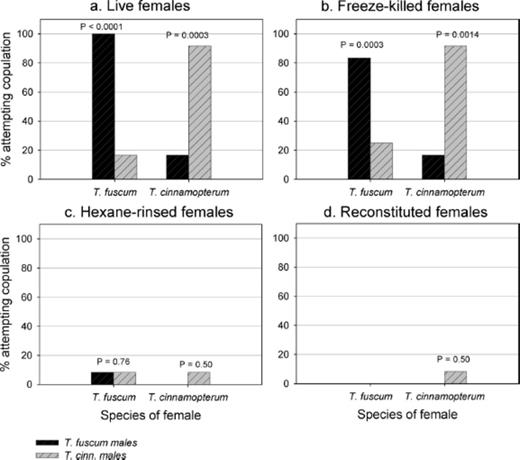 Percentage of Tetropium fuscum and T. cinnamopterum males (n=12 per species) attempting to copulate with conspecific and heterospecific females subjected to four different treatments: a) live females; b) freeze-killed females; c) hexane-rinsed females; and d) freeze-killed females to which the hexane rinse from females was reapplied. For each of the four treatments for each female species, a one-tailed Fisher exact test was used to test the null hypothesis that the proportion of conspecific males attempting to copulate with a given female was not greater than the proportion of heterospecific males attempting to copulate. Comparisons with associated P values (probability the null hypothesis was true) < 0.05 are significantly different.