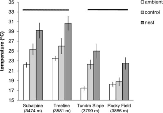 Ground surface temperature in the open (ambient), under randomly chosen unoccupied rocks (controls) and under rocks exploited for nests by F. neorufibarbis at four sites along an altitudinal gradient. Separate horizontal lines designate sites that differ significantly in ground temperature (P < 0.05). Regardless of altitude, the ground warmed to higher mid-day temperatures under nest rocks than randomly chosen controls (ANOVA, P < 0.0001; Table 1).
