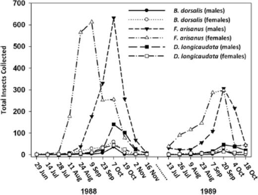 Total number of male and female B. dorsalis, B. arisanus, and D. longicaudata in a commercial guava orchard during 1988 and 1989.