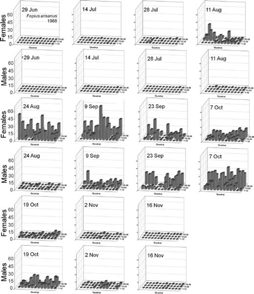 Spatial distribution patterns for female and male B. arisanus in a commercial guava orchard during 1988.