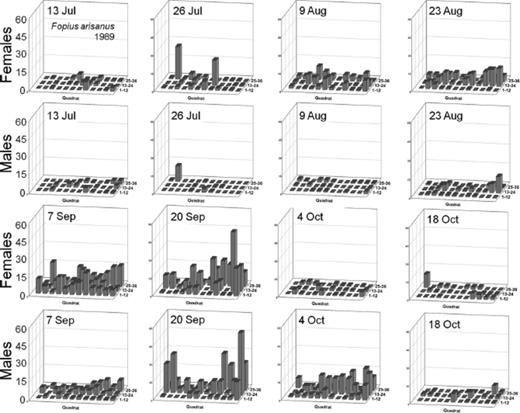 Spatial distribution patterns for female and male B. arisanus in a commercial guava orchard during 1989.