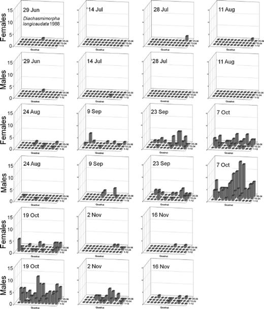 Spatial distribution patterns for female and male D. longicaudata in a commercial guava orchard during 1988.