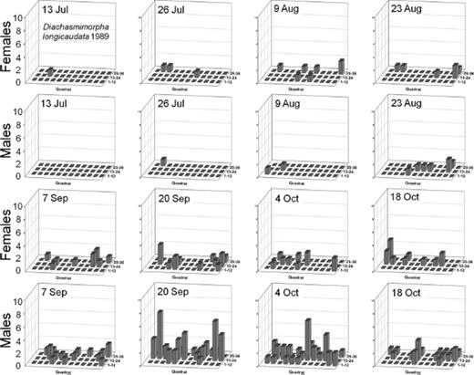 Spatial distribution patterns for female and male D. longicaudata in a commercial guava orchard during 1989.
