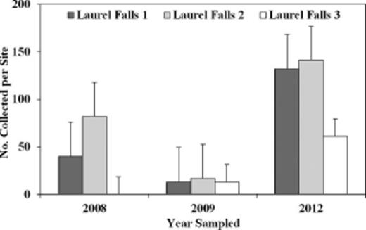 Recovery of S. tsugae on eastern hemlock from repeated sampling in release sites near Laurel Falls at GRSM, 2008–2012.