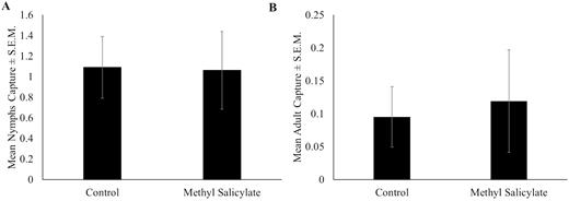 Mean number of Lycorma delicatula ± SEM (A) nymphs and (B) adults captured per week on sticky bands baited with methyl salicylate or on unbaited sticky bands in 2019 in Winchester, VA.
