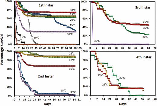 Survivorship curves for Lycorma delicatula nymphs reared in tubes by instar and temperature.