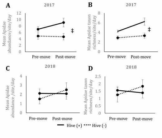 Mean abundance of Apidae collected per site per date in 2017 (A) and 2018 (B) as well as mean species richness of Apidae collected in 2017 (C) and 2018 (D) in prairies with (solid line) and without (dotted line) the presence of honey bee hives in central Iowa. Premove indicates collections made before hives were moved onto hive (+) sites and includes three dates during 2017 and 2018. Postmove indicates collections made after hives were moved onto hive (+) sites and includes three dates in 2017 and four dates in 2018. Results based on ANOVA and Tukey post hoc comparisons. Error bars represent one standard error of the mean. Asterisks signify significant differences (P < 0.05) between premove and postmove within a hive presence treatment and the double cross indicates significant differences between hive presence treatments at premove and postmove time points.