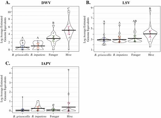 Log average estimated genome equivalents for the DWV (A), LSV (B), and IAPV (C) in 2018, compared between the two bumble bee species, honey bee foragers, and nurse honey bees from the hive. Letters denote estimated genome equivalents significantly different from other bee categories (P < 0.05). In IAPV, no category was significantly different from another. Significance determined with ANOVA and Tukey post hoc analysis. Full statistical report in Supp Table 9 (online only).