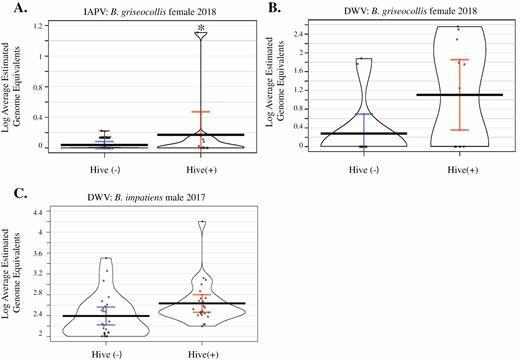 Viral levels of IAPV in Bombus griseocollis females (A), DWV in B. griseocollis females (B), and DWV in Bombus impatiens males (C) in bumble bees caught at hive (+) sites compared to those from hive (−) sites. IAPV and DWV quantities were higher in B. griseocollis at hive(+) sites than hive(−) sites (P < 0.001, P = 0.071, respectively, ANOVA), and DWV quantities were higher in male B. impatiens at hive(+) sites (P = 0.138, ANOVA). Full statistical report in Supp Table 10 (online only).