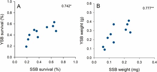 Correlations between (A) the survival of YSB and SSB across 10 rice varieties and (B) the final weight of emerging adults on the varieties. Numbers are Spearman correlation coefficients (df = 10; * = P < 0.05, ** = P < 0.01).