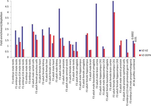 meta-analysis supporting EDCs' effects across generations. The overlaps of
            differentially expressed genes between previously identified sets (Supplementary Table S1) in
            transgenerational experiments investigating effects of VZ, and the common G1R and G2R
            genes shown in Figure 1 for DEPH and VZ are
            depicted. The last pair of bars show combined analysis. Numbers above the bars indicate
            hypergeometric distribution probability. Missing bars indicate insufficient data for
            statistical analysis, due to nil or less than 5 overlapping genes between two sets. Note
            a general trend for higher fold enrichment for VZ-VZ overlaps across studies, compared
            to VZ-DEPH overlaps. Also note a greatly significant overlap for VZ-VZ comparison,
            relative to VZ-DEPH comparison, in the combined analysis. The details of studies
            representing figure labels in the x-axis are provided in Supplementary Table S2