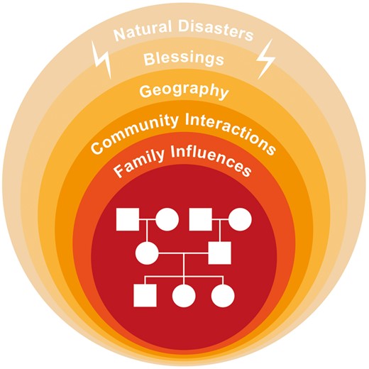 An indication of the multiple, ever-widening sources of experience that may induce epigenetic responses, and therefore potentially influence the next generation(s) through cross-generational epigenetic inheritance, contributing to cultural continuity. By contrast genetic inheritance just comes from the parents via their ancestors; here represented by the central pedigree.