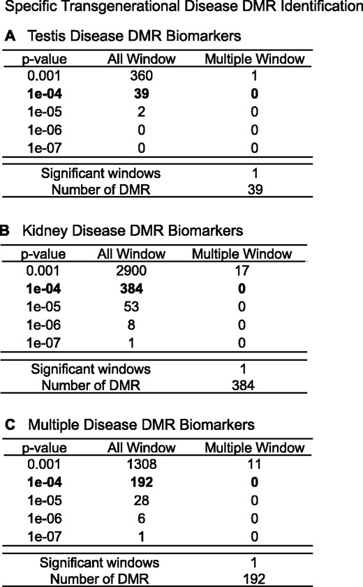 DMR identification and numbers. The number of DMRs found using different P-value cutoff thresholds. The All Window column shows all DMRs. The Multiple Window column shows the number of DMRs containing at least two significant windows (1000 bp each). The number of DMRs with the number of significant windows (1000 bp per window) at a P-value threshold of P < 1e−04 for DMR is presented. (A) Testis disease DMRs; (B) kidney disease DMRs; and (C) multiple disease DMRs