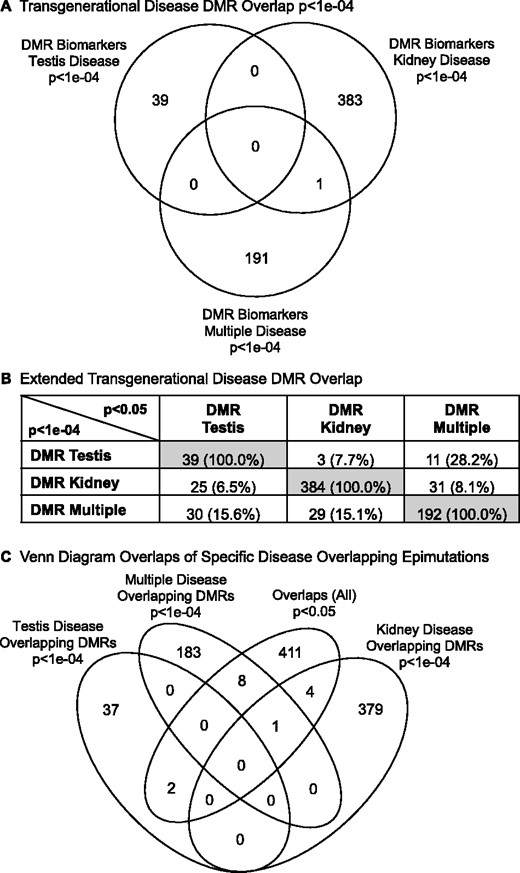 Disease DMR overlap. (A) Venn diagram transgenerational disease DMR overlap at P < 1e−04. (B) Extended transgenerational disease DMR overlaps. The P-value data set at P < 1e−04 is compared to the P < 0.05 data to identify potential overlap between the different pathologies with DMR number and percentage of the total presented. The gray highlight is the expected 100% overlap. (C) Venn diagram overlaps of specific disease DMRs. The P < 1e−04 disease DMRs are compared to the overlapping P < 0.05 DMRs identified in Supplementary Fig. S3