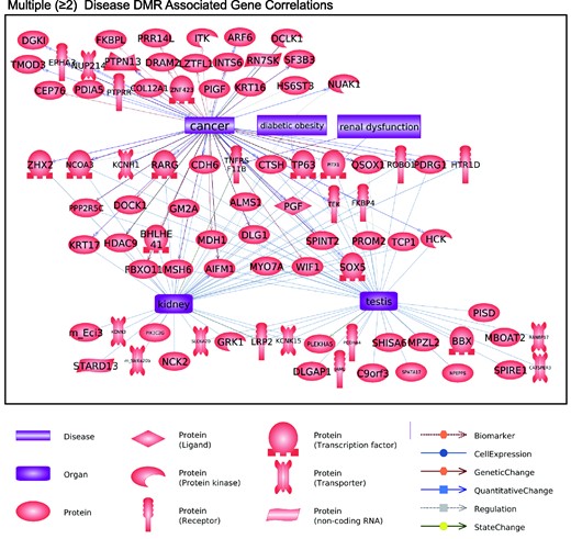 Multiple disease DMR-associated gene correlations with previously identified disease genes. The tissue physiology and related diseases are presented. Gene functional category shapes presented at the bottom with arrow function presented