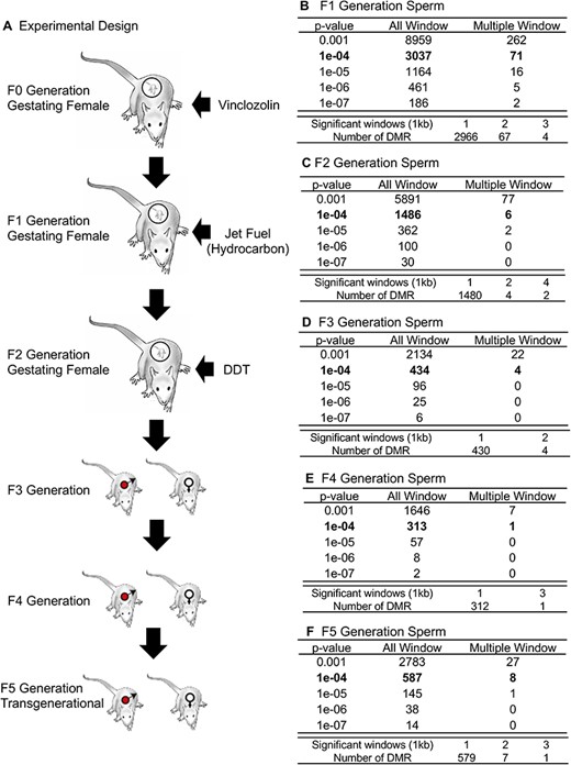 多世代にわたる有害物質曝露が、累積的かつ遺伝的な健康影響を示す(Multi-generational toxicant exposures show cumulative, inherited health effects) 多世代にわたる有害物質曝露が、累積的かつ遺伝的な健康影響を示す(Multi-generational toxicant exposures show cumulative, inherited health effects)