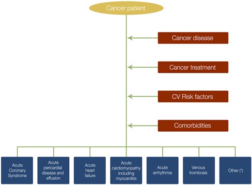 Acute cardiovascular disease and contributing factors in the cancer patient. aHypertensive crisis, acute pulmonary hypertension, and acute peripheral vascular event.