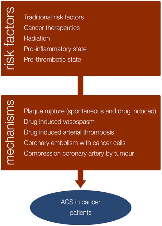 Risk factors and mechanisms of acute coronary syndromes in cancer patients.
