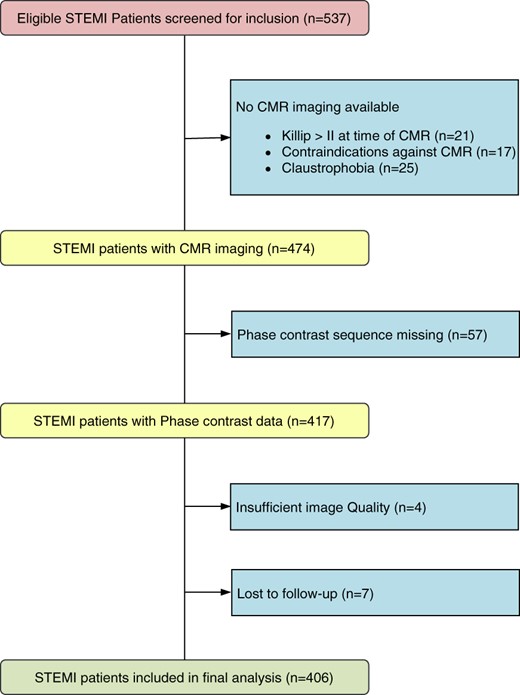 Flow diagram of the present study. CMR, cardiac magnetic resonance; STEMI, ST-elevation myocardial infarction.