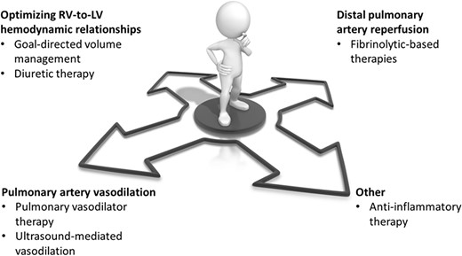 Potential pathways for scientific investigation in medical therapy for acute pulmonary embolism beyond anticoagulation. LV, left ventricle; RV, right ventricle.
