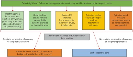 Approach to management of right ventricular failure. RV, right ventricle. Reproduced from Olsson KM, Halank M, Egenlauf B, et al. Decompensated right heart failure, intensive care and perioperative management in patients with pulmonary hypertension: updated recommendations from the Cologne Consensus Conference 2018. Int J Cardiol 2018; 272S: 46–52.