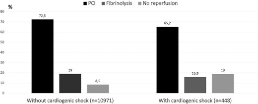 Rate of early reperfusion therapies performed in patients with and without cardiogenic shock. PCI , primary percutaneous coronary intervention.