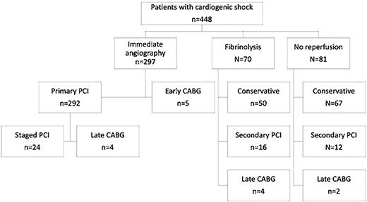 Flow diagram with the rate of initial reperfusion strategy and subsequent revascularization procedures in patients with cardiogenic shock. CABG, coronary artery bypass graft surgery; PCI, percutaneous coronary intervention.